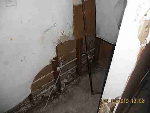 15017 Dolphin (13)_m.jpg